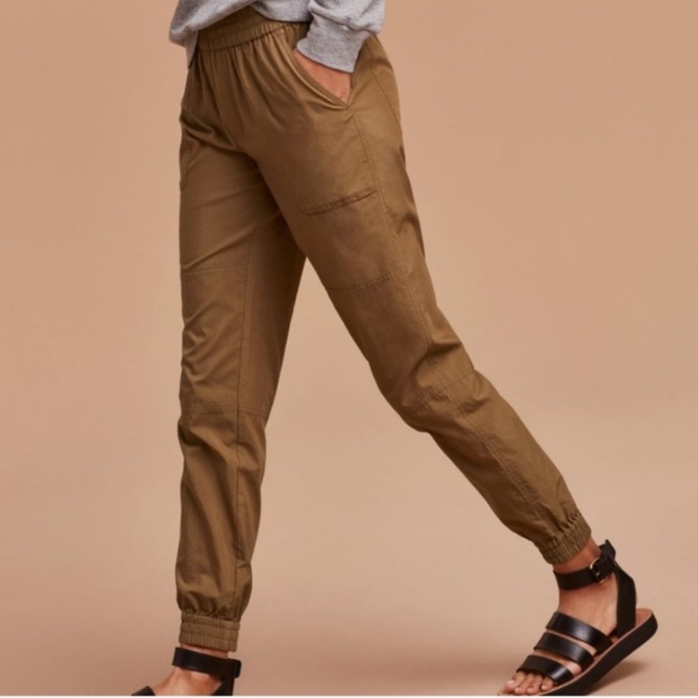 Aritzia Community Ion Jogger Pant in Tamarind, size M